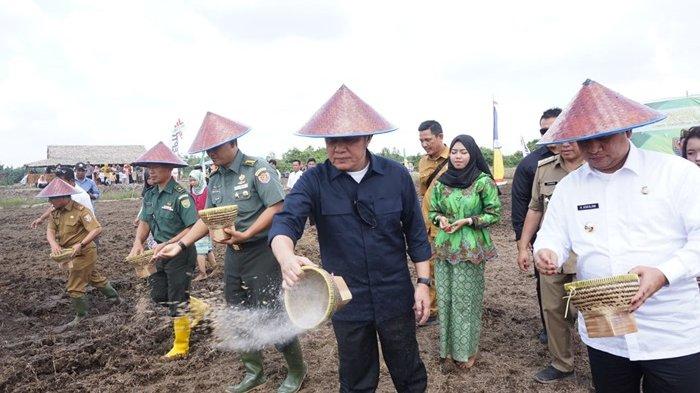 Kabupaten Banyuasin, Gubernur Sumsel Tanam Padi di Lahan #Serasi